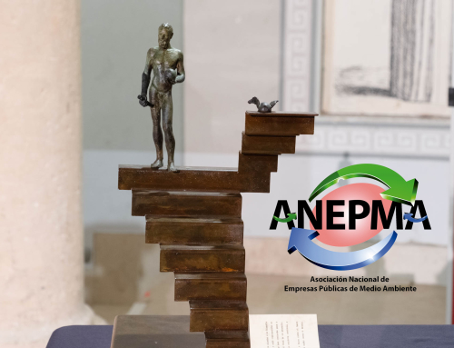XII Edición Premios ANEPMA