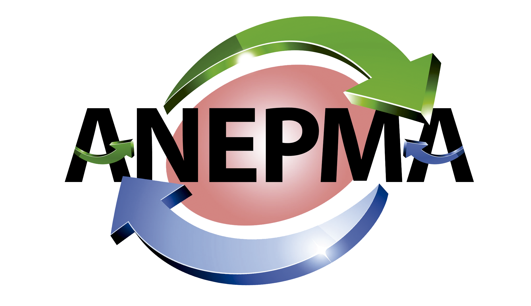 Logo-ANEPMA-1